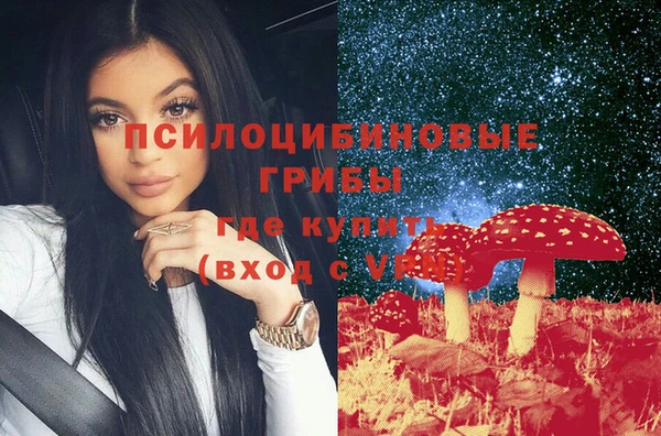 эйфоретик Аркадак