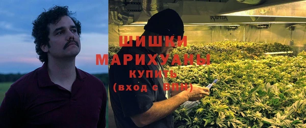 прущая мука Галич
