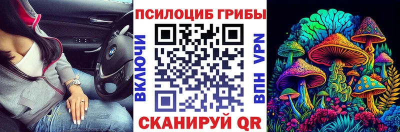 Псилоцибиновые грибы Magic Shrooms OMG онион Губаха
